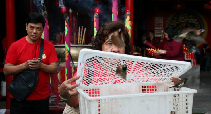 Warga Tionghoa beribadah saat perayaan Cap Go Meh 2571 di Vihara Dharma Bhakti, Petak Sembilan, Jakarta Barat, Sabtu (8/2/2020).