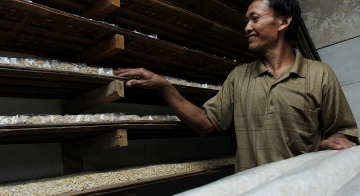 Pekerja pembuat tahu dan tempe di Pemukiman Industri Kecil (PIK) Primkopti Sentra Tahu dan Tempe Semanan, Kalideres, Jakarta Barat. (Foto-foto : Kuncoro Widyo Rumpoko)