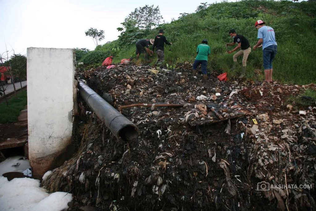 Penanaman Mangrove - Kuncoro Widyo Rumpoko